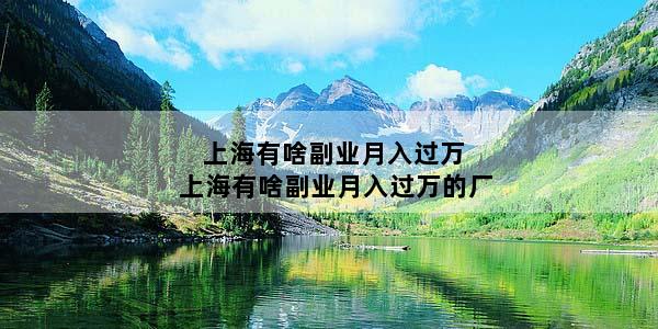上海有啥副业月入过万 上海有啥副业月入过万的厂